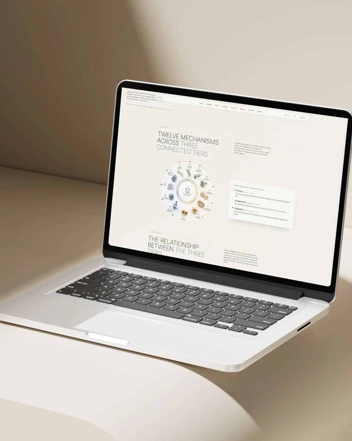 Ein Laptop auf einem cremefarbenen Sofa, darauf eine Seite von On Longevity zu zwölf Mechanismen in drei verbundenen Stufen